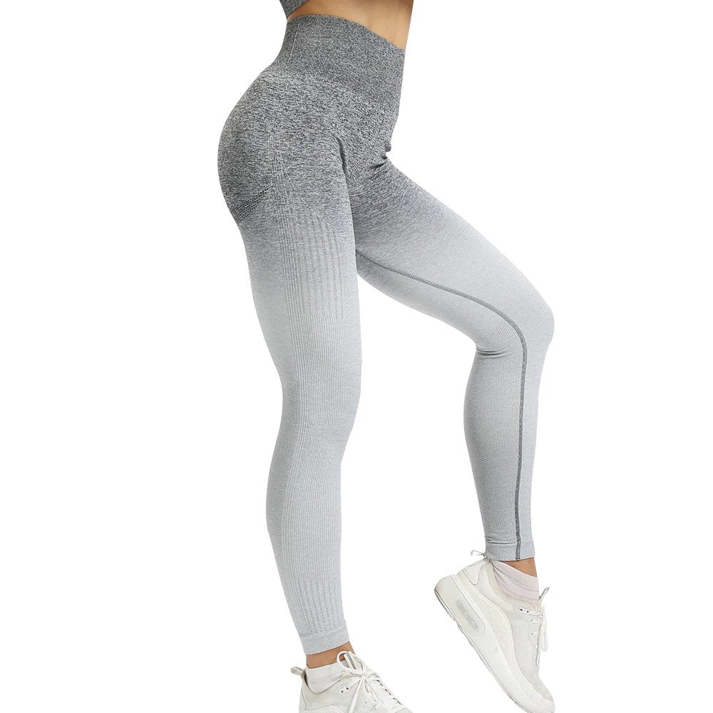 Legging Seamless Gradient Fit
