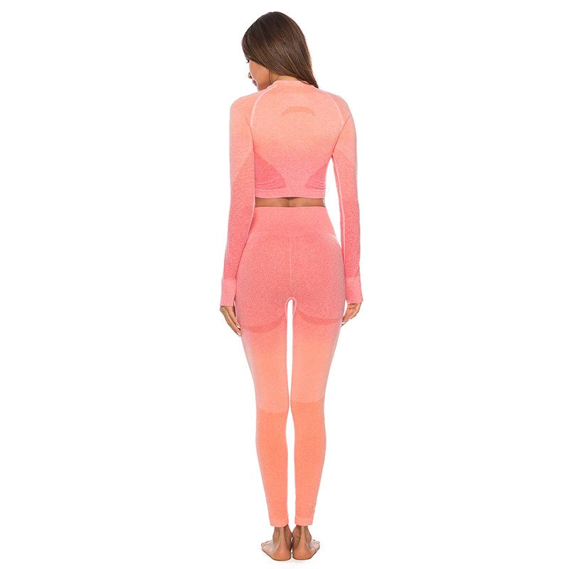 Conjunto Fitness Manga Longa